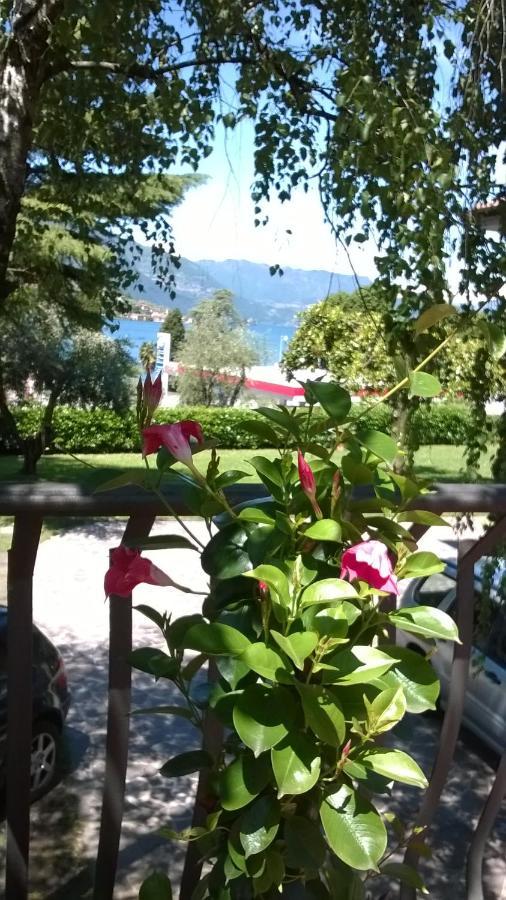 Villa Leilani B&B 살레마라시노 외부 사진